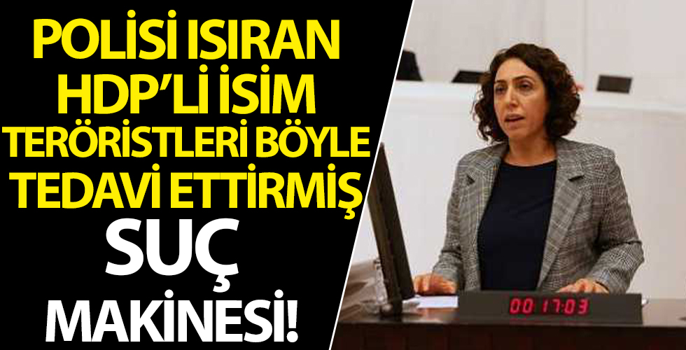 HDP'li Saliha Aydeniz'in iddianamesinde ortaya çıktı! PKK'lı teröristleri sivil gibi gösterip tedavi etmiş!