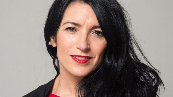 İsveçli vekilden skandal Türkiye sözleri!