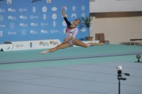 Avrupa Kadınlar Artistik Cimnastik Şampiyonası'nda Büyüklerde Şampiyon Ukrayna