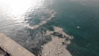 (Drone) Sokağa Çıkma Kısıtlamasında İstanbul Boğazı'nda Çöp Adaları Oluştu