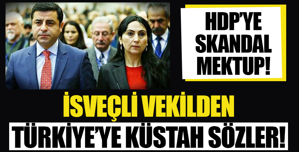 İsveçli vekilden skandal Türkiye sözleri!