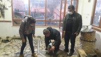 Köpek Saldırısına Uğrayan Karaca Tedavi Altına Alındı Haberi
