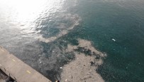 Sokağa Çıkma Kısıtlamasında İstanbul Boğazı'nda Çöp Adaları Oluştu