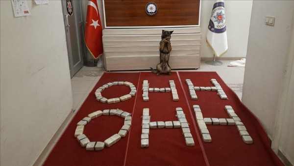 Polislerden Bakan Soylu'ya anlamlı destek!