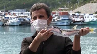 Antalya'da Kumar Oynayan 11 Kişiye 52 Bin 437 Lira Ceza Kesildi