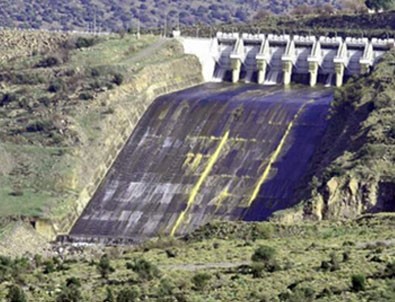 Başkan Erdoğan çağrıda bulunmuştu!