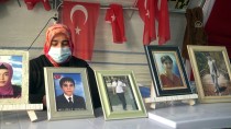 Diyarbakır Annelerinden HDP İl Başkanına Tepki Haberi