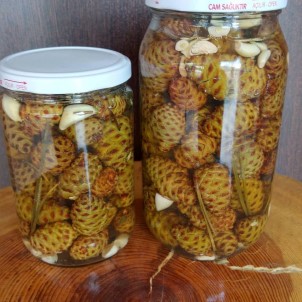 Süs Olarak Kullanılan Kozalaklar Şifa Kaynağı Oluyor