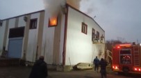 Trabzon'da Soğuk Hava Deposunda Yangın
