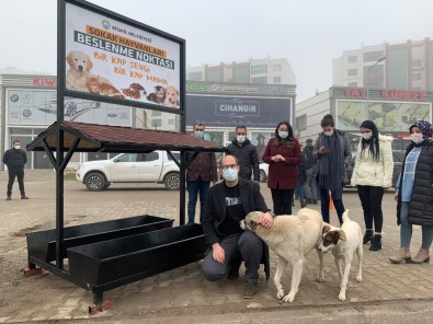 Bismil Belediyesi Sokak Hayvanlarını Yalnız Bırakmadı