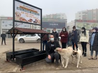 Bismil Belediyesi Sokak Hayvanlarını Yalnız Bırakmadı Haberi