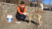 Hafta Sonu Kısıtlamasında Sokak Hayvanlarını Besledi Haberi