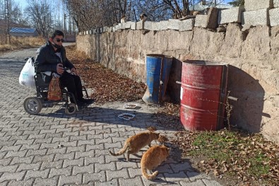 (Özel) Engelli Genç, Sokağa Çıkma Kısıtlamasında Sokak Hayvanlarını Besliyor