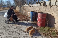 (Özel) Engelli Genç, Sokağa Çıkma Kısıtlamasında Sokak Hayvanlarını Besliyor Haberi