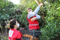 Sağlık Çalışanlarına 'Portakal' Dopingi