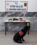 Aydın'da 250 Gram Kubar Esrar Ele Geçirildi