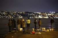 Bebek'te Kısıtlamayı Delerek Balık Tutanlara Ceza Yağdı