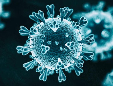 DSÖ'den mutasyon açıklaması!