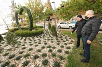 Gebze'de Binlerce Ağaç Dikildi