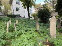 İstanbul'da Tarihi Hazirenin İçler Acısı Hali Yürekleri Burktu