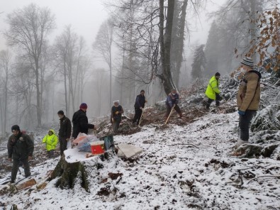 Karabük'te Kar Yağışına Rağmen 5.5 Ton Kayın Tohumu Toprakla Buluşturuldu