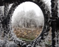 Kırağı Güzel Görüntüler Oluşturdu