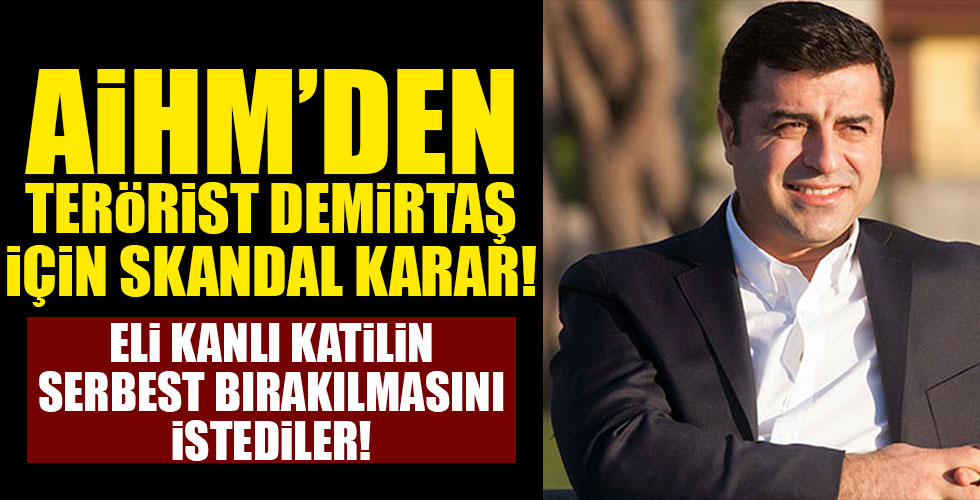 AİHM'den Demirtaş için skandal karar!