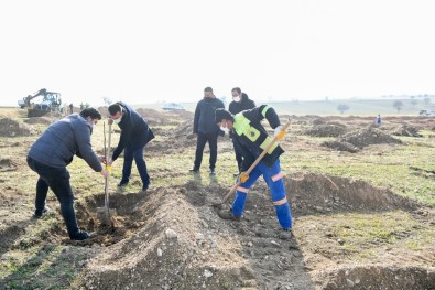 Ankara'ya 27 Aralık Ormanı