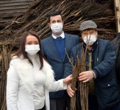 Bilecik'te 110 Bin Ceviz Fidanı Toprakla Buluşacak