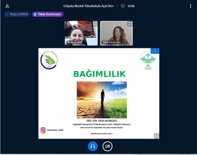 Demirezen 'Bağımlılık Bir Beyin Hastalığı'