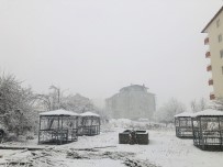 Hizan'da Kar Yağışı Haberi