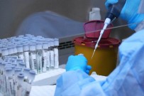 Samsun'da Günlük Test Kapasitesi İse 5 Binden 7 Bine Yükseltildi