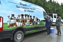 Esenyurt Belediyesi'nden Sokak Hayvanlarına Kuduz Aşısı