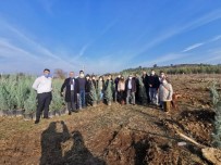 İzmir'de Her Çocuk Adına Bir Fidan