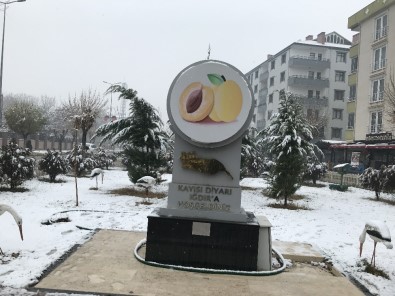 Kar Uyarısı Yapılan Iğdır Beyaz Gelinliğini Giydi