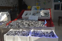 Sinop'ta Kötü Hava Hamsiyi Vurdu