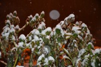Şırnak'ta Kar Nedeniyle 18 Köy Yolu Ulaşıma Kapandı Haberi