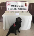Valizinden 2 Kilo 550 Gram Uyuşturucu Maddesi Çıkan Şahıs Tutuklandı