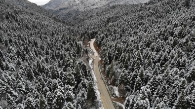 Yedigöller Milli Parkı Yolu Kar Ve Buzlanma Sebebiyle Ulaşıma Kapatıldı