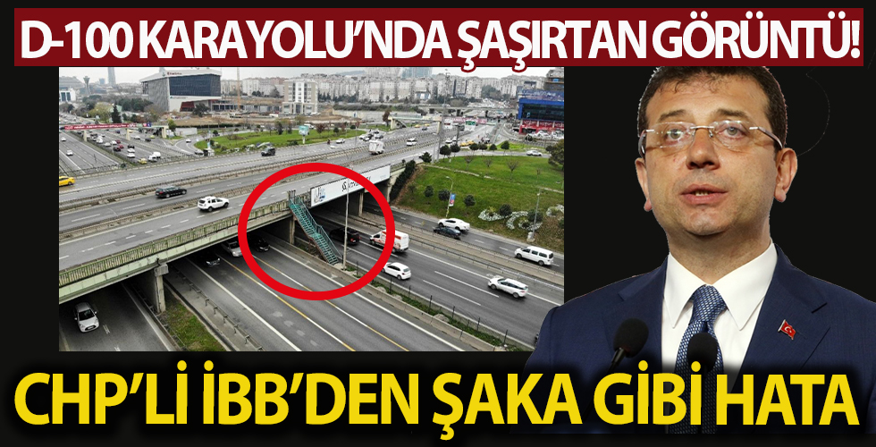 D-100 Karayolunda ilginç olay! Gören şaşkına dönüyor...