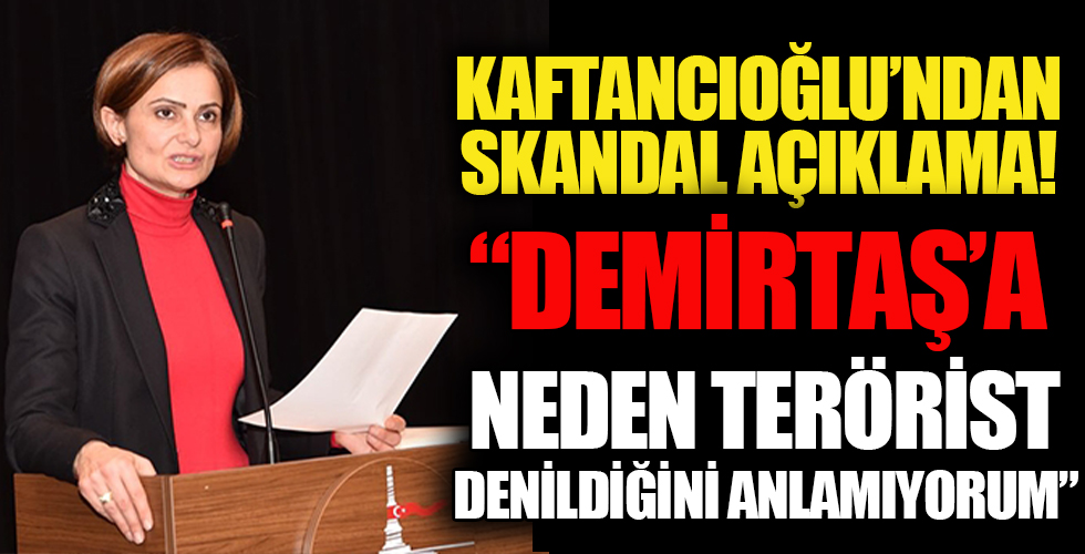 CHP’li Canan Kaftancıoğlu: Selahattin Demirtaş’a neden terörist denildiğini anlamıyorum