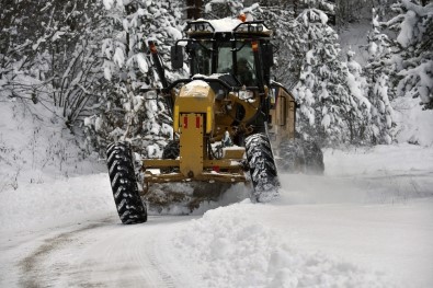 Gümüşhane'de Kar Nedeniyle Kapanan Köy Yolları Ulaşıma Açılıyor