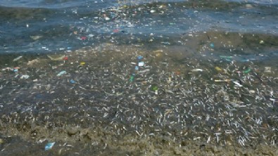 İmamoğlu perişan etti! İstanbul'da dehşete düşüren görüntüler