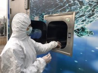 Korona Virüse Karşı Yerli Ve Milli Taşınabilir Laboratuvar