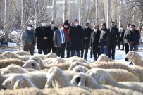 Köylere Geri Göçü Sağlayacak Proje İlk Meyvelerini Verdi