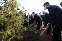 Millet Bahçesinin İlk Fidanını Bakan Murat Kurum Dikti