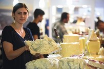 Peynir İçin Online Atölye Haberi