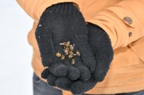 Şırnak'ta Kara Saplanan Arılar, Arıcıların Avuçlarında Hayat Buluyor Haberi