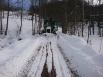 Trabzon'da Karla Kaplı Mahalle Yollarının Tamamı Ulaşıma Açıldı