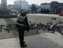 Alaçam'da Aç Kalan Kuşlara Polisler Yem Verdi Haberi